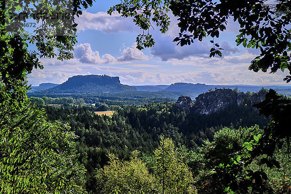 Europa  Deutschland  Sachsen  Nationalpark Sächsische Schweiz  Elbsandsteingebirge  die Bastei; Nationalpark Sächsische Schweiz