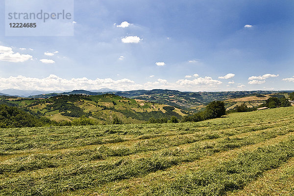 Park der Sassi von Roccamalatina  Guiglia  Emilia Romagna  Italien