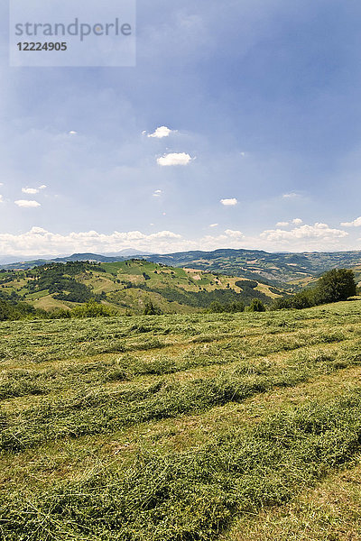 Park der Sassi von Roccamalatina  Guiglia  Emilia Romagna  Italien