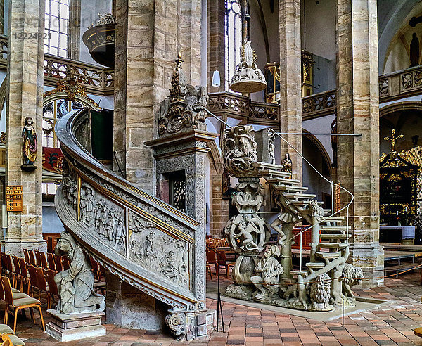 Europa  Deutschland  Sachsen  Freiberg  die Altstadt  die Kathedrale St. Marien im Stil der Flamboyant-Gotik wurde zwischen 1490 und 1501 errichtet. CHAIR OF TRUTH  dessen Form an eine Tulpenkrone erinnert  aus dem Jahr 1505