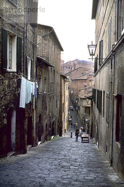 Siena  Toskana  Italien