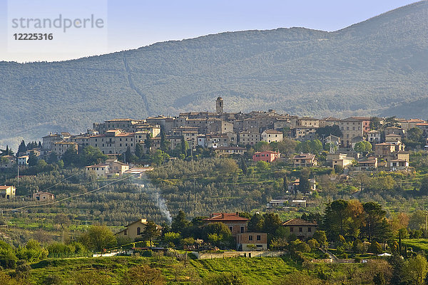 Landschaft  Umgebung von Montecchio  Umbrien  Italien