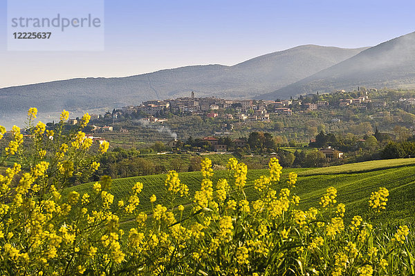 Landschaft  Umgebung von Montecchio  Umbrien  Italien