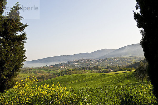 Landschaft  Umgebung von Montecchio  Umbrien  Italien