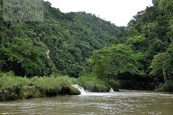 Philippinen  Insel Visayas  Fluss Loboc