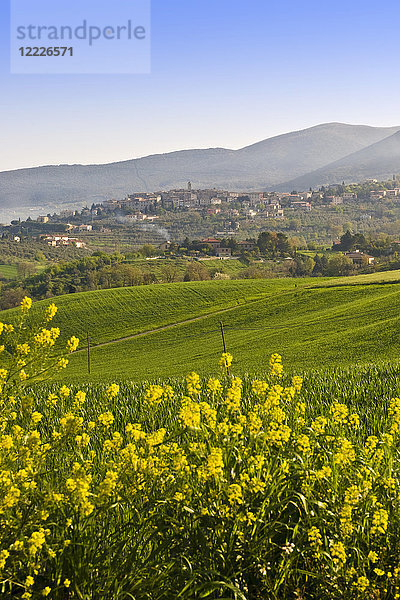 Landschaft  Umgebung von Montecchio  Umbrien  Italien