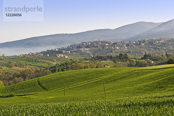 Landschaft  Umgebung von Montecchio  Umbrien  Italien