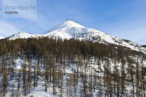 Landschaft  Sestriere  Provinz Turin  Piemont  Italien