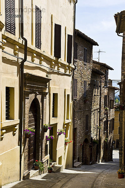 Spello  Provinz Perugia  Umbrien  Italien