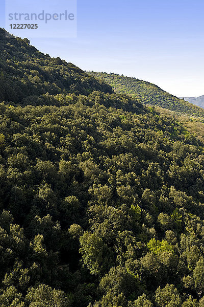 Landschaft  Spoleto  Provinz Perugia  Umbrien  Italien