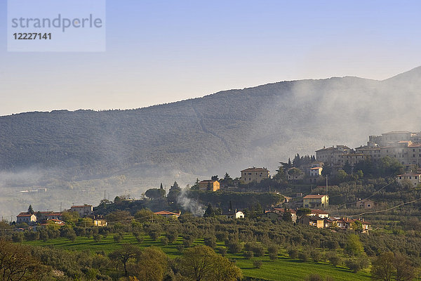 Landschaft  Umgebung von Montecchio  Umbrien  Italien