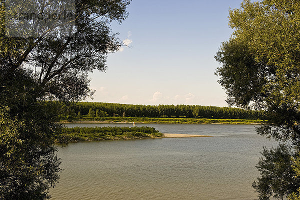 Fluss Po  Provinz Mantua  Lombardei  Italien