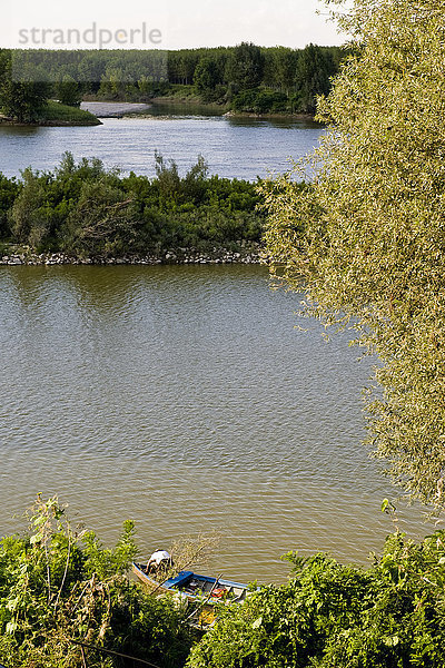 Fluss Po  Provinz Mantua  Lombardei  Italien