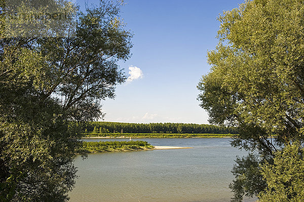 Fluss Po  Provinz Mantua  Lombardei  Italien