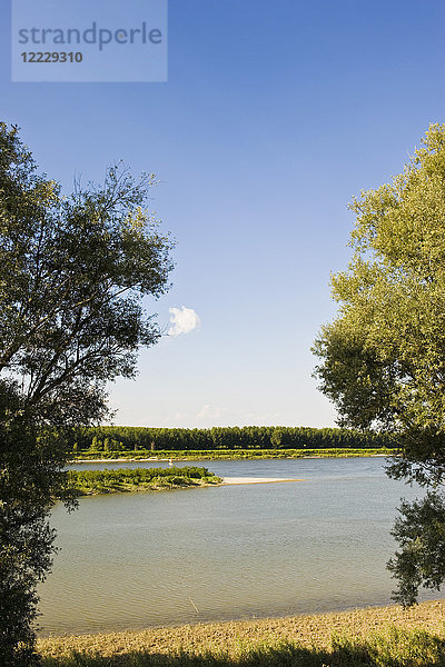 Fluss Po  Provinz Mantua  Lombardei  Italien