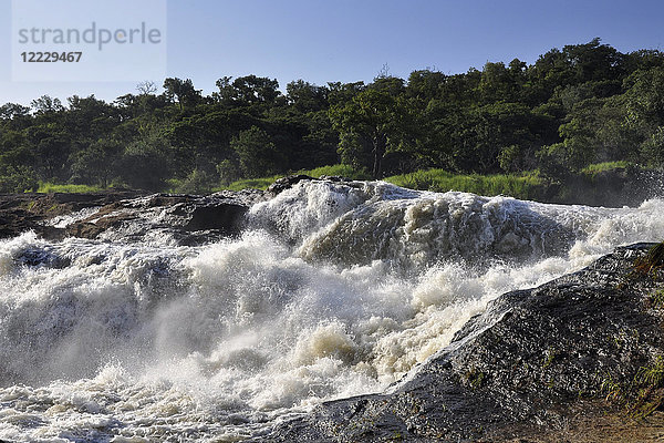 Uganda  Murchinson Falls National Park  Nil Fluss