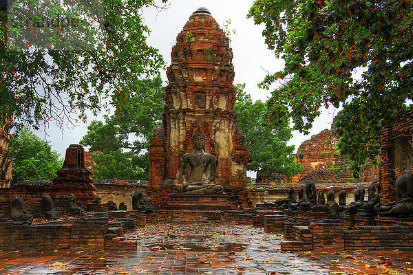 Asien  Thailand  Ayutthaya  Tempelruinen des Wat Mahathat