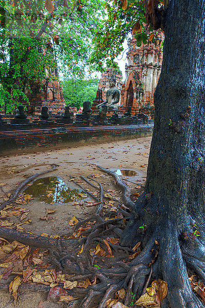 Asien  Thailand  Ayutthaya  Tempelruinen des Wat Mahathat