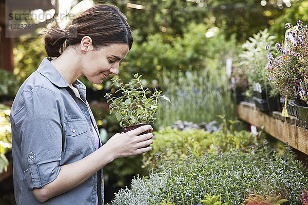 Kaukasische Frau  die eine kleine Pflanze  ein aromatisches Kraut in der Hand hält und daran riecht  beim Einkaufen in der Gärtnerei eines Gartencenters.