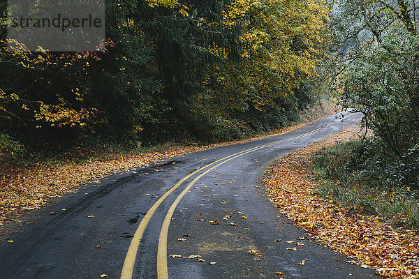 Kurvenreiche Straße durch einen Wald im Herbst  heruntergefallenes Laub an den Straßenrändern.