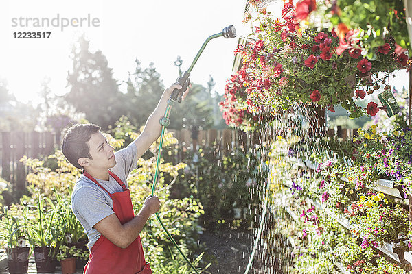 Kaukasischer Angestellter  der in einer Gärtnerei eines Gartenzentrums Pflanzen gießt.