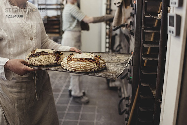Mittelteil des Bäckers  der die frisch gebackenen Brote auf dem Kühlregal in der Bäckerei aufbewahrt.
