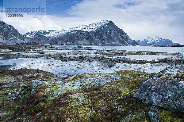 Moosbedeckte Felsen zwischen abgelegenen Fjorden und Bergen  Langraget  Lofoten  Norwegen