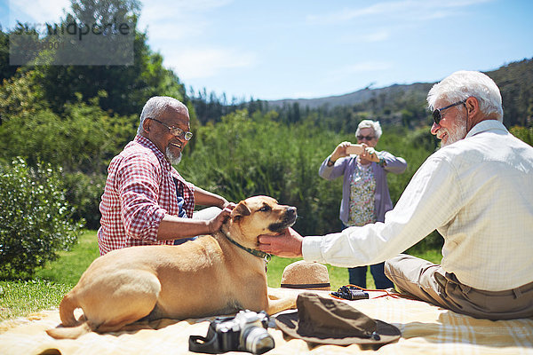 Seniorenfreunde streicheln Hund auf sonniger Sommer-Picknickdecke