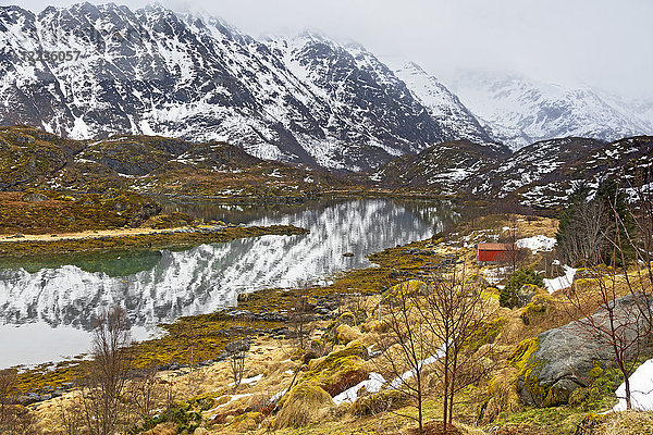 Ruhige  verschneite Berglandschaft  Alsvag  Langoya  Norwegen