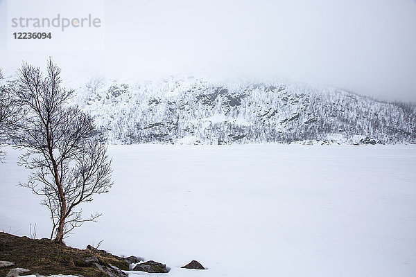 Ruhige  verschneite Landschaft  Kanstad  Hinnoya  Norwegen