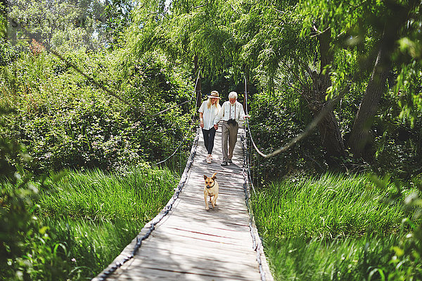 Aktives Seniorenpaar und Hundeüberquerung zwischen üppig grünen Bäumen