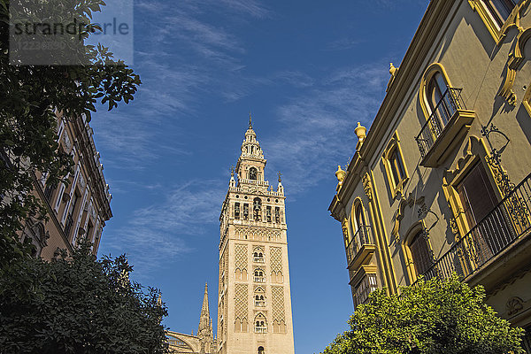 Spanien  Sevilla  Altstadt mit Giralda-Turm