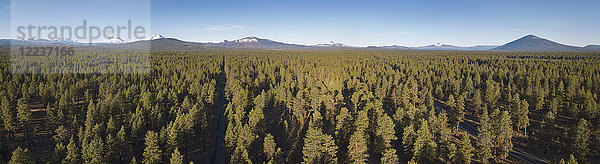 USA  Oregon  Sisters  Blick von oben auf immergrünen Wald mit Bergen im Hintergrund