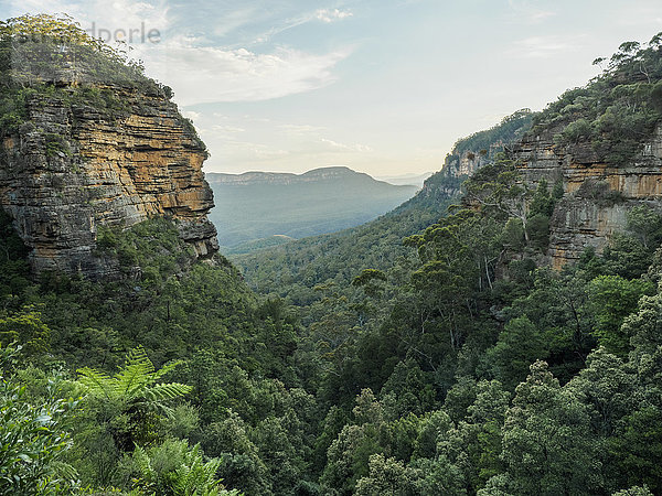 Australien  New South Wales  Landschaft der Blue Mountains