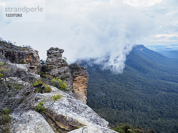 Australien  New South Wales  Katoomba  Große Felsen und Berge in Wolken