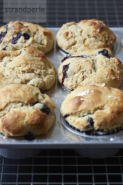 Blaubeer-Muffins auf dem Backblech