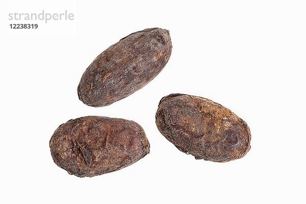 Drei Kakaobohnen