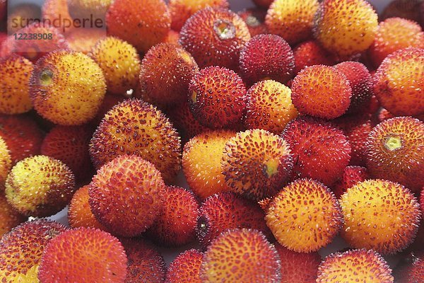 Früchte vom Erdbeerbaum (Vollbild)
