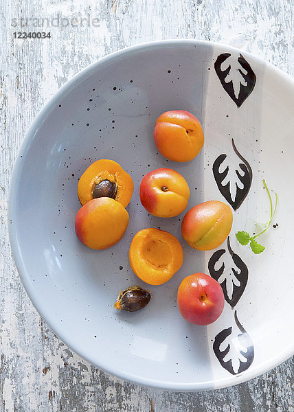 Frische Aprikosen  ganz und halbiert  auf einem Keramikteller
