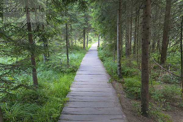 Uferpromenade am Großen Arbersee in Bayerisch Eisenstein im Bayerischen Wald in Bayern  Deutschland