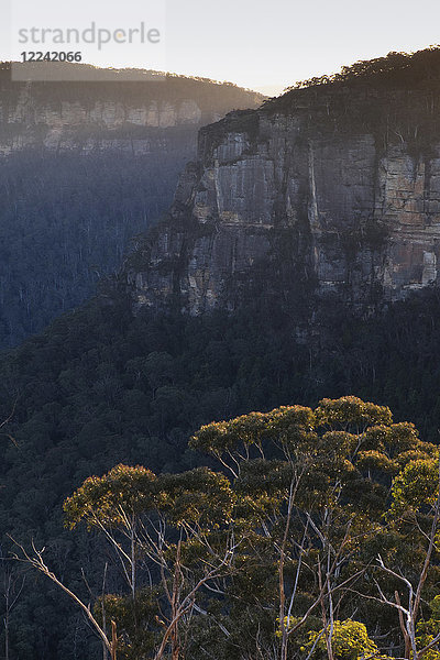 Felsformationen auf dem Hochplateau im Blue Mountains National Park in New South Wales  Australien