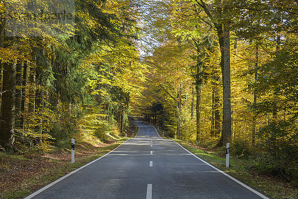 Waldweg im Herbst bei Spiegelau im Nationalpark Bayerischer Wald in Bayern  Deutschland