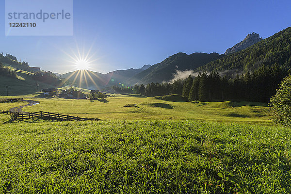 Morgensonne auf einer Bergwiese in den Pragser Dolomiten in der Provinz Bozen (Südtirol)  Italien