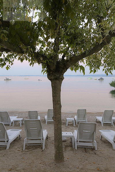 Baum und Reihen von Liegestühlen am Strand des Gardasees (Lago di Garda) in der Morgendämmerung in Bardolino in Venetien  Italien