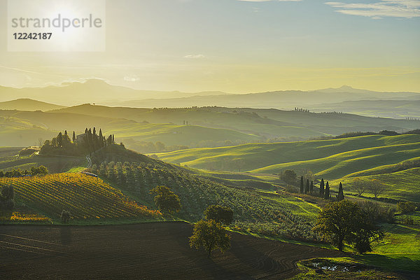 Überblick über die toskanische Landschaft mit Bauernhaus bei Sonnenuntergang in San Quirico d'Orcia im Val d'Orcia in der Provinz Siena  Italien