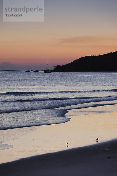 Landschaftliche Ansicht der Brandung am Strand mit zwei Strandläufern in Byron Bay in New South Wales  Australien