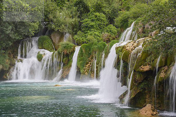 Skradinski Buk  Wasserfälle  Krka-Nationalpark  Kroatien  Europa