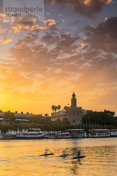 Torre del Oro (Goldener Turm) bei Sonnenaufgang  Sevilla  Andalusien  Spanien  Europa