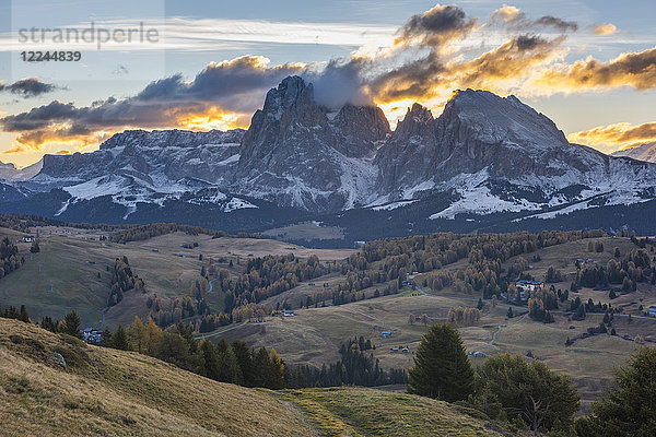 Langkofel und Langkofel bei Sonnenaufgang  Seiser Alm  Trentino  Italien  Europa