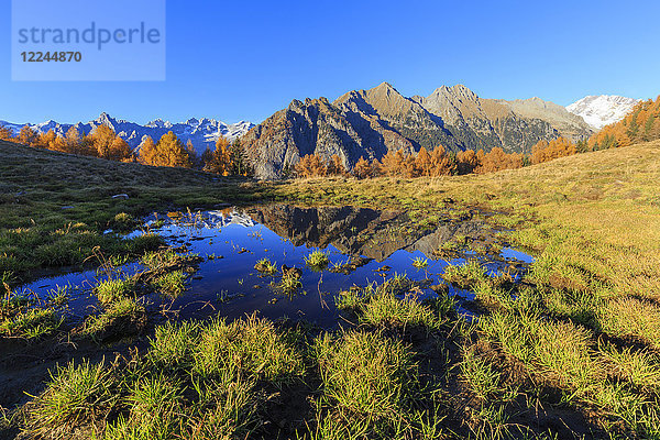 Kleiner Teich auf der Alpe Granda  Valtellina  Lombardei  Italien  Europa